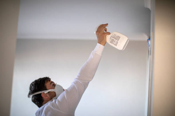 Best Mold Removal and Inspection  in Salida, CA